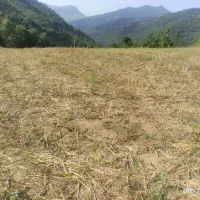 فروش زمین باغی در ریگ چشمه|فروش زمین و ملک کلنگی|مینودشت, |دیوار