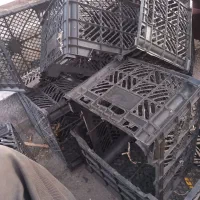 سبد