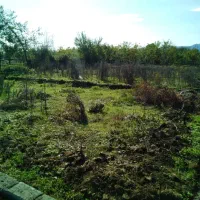 زمین با قطعات تفکیکی جنب سواحل زیبای گیسوم|فروش زمین و ملک کلنگی|پره‌سر, |دیوار