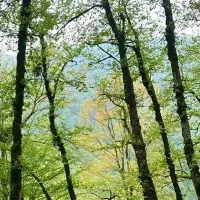 راهنمایی فراغت