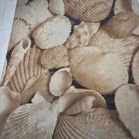 تعدادی لوازم خانه و لوازم شخصی بدلیل مهاجرت