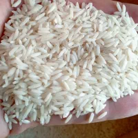 برنج سفید هاشمی درجه یک