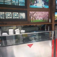 ظرفشور خانم