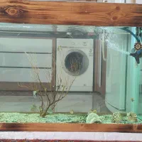 آکواریوم با تمام تجهیزات