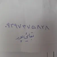 مدارک گم شده
