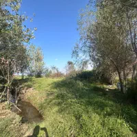 ۹۰۰ متر زمین با پروانه ساخت جاده رشت فومن|فروش زمین و ملک کلنگی|رشت, حافظ آباد|دیوار
