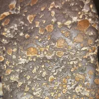 شهابسنگ..|جواهرات|گرگان, |دیوار