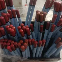 استند رژ مدادی و خط لب برند دو سه اورجینال|آرایشی، بهداشتی، درمانی|گلستان (تهران), |دیوار
