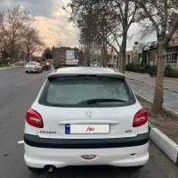 ۲۰۶ تیپ دو بی رنگ شاسی پلمپ