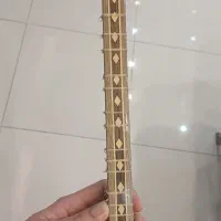 سه تار ستار ساخت استاد مرآتی|سازهای سنتی|تهران, فلسطین (میدان انقلاب)|دیوار