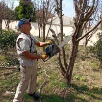 انجام کلیه خدمات باغی در چمستان وامل وبابل حومه .