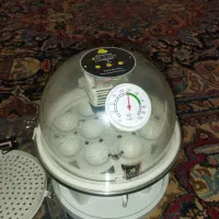 دستگاه جوجه کشی ده تایی