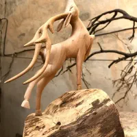 اموزش پیکر تراشی چوب|خدمات آموزشی|شیراز, دکتر حسابی|دیوار