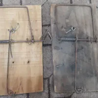 ۲ عدد تله موش چوبی