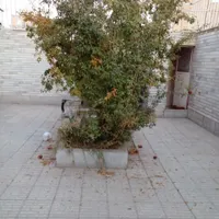 منزل ویلایی دربست 180متر دو خاب خیابان بعثت|اجارهٔ خانه و ویلا|اصفهان, دوطفلان|دیوار