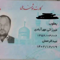 پیداشده