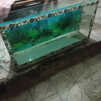 آکواریوم