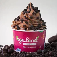 عکاسی تبلیغاتی،تولید محتوا،ادمین،چاپ