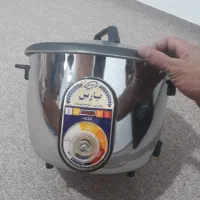 پلوپز برقی