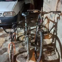 اهواز کوی سیاحی|دوچرخه، اسکیت، اسکوتر|اهواز, گلدشت|دیوار