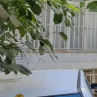 منزل-ویلایی-راهنمایی-سناباد-سند-اماده-قیمت-واقعی