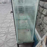 آکواریوم تاج دار و بخاری اکواریوم|ماهی|تربتحیدریه, یحیی آباد|دیوار