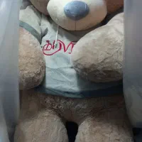 عروسک های مارک دارخارجی