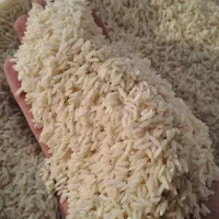 برنج اصیل و معطر ممان میانه|خوردنی و آشامیدنی|زنجان, |دیوار