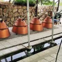 تور آبشار نیاسر و گلاب گیری کاشان