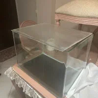 آکواریوم شیشه خم شرکتی