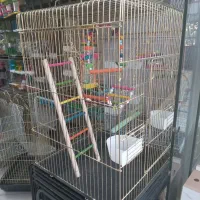 گرینچیک یلو ساید و قفس بزرگ نو