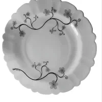 آرکوپال ۳۰ نفره