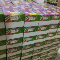 مدل‌های متنوع قلم‌موی آسیا، برای هر سبک وهر هنرمند|آرایشی، بهداشتی، درمانی|تهران, قیام|دیوار
