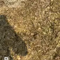 چاپر بسته شده (ارسال از خوزستان )