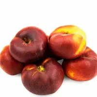 پیشفروش نهال شلیل انجیری|خدمات باغبانی و درختکاری|ارشق, |دیوار