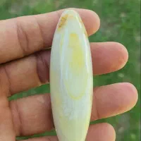مهره بزرگ عقیق شجر بی نظیر