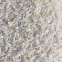 برنج درجه یک ساران شرف اباد میتونید برنجو ببینید