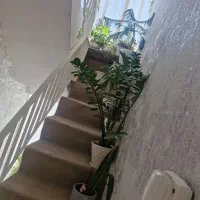 خانه ویلایی ۵۵ متری  سند شیش دانگ|فروش خانه و ویلا|مشهد, شهید مطهری|دیوار