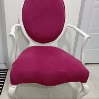 چستر سرخابی