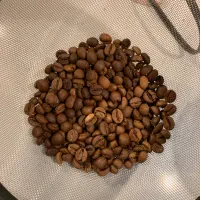 دان قهوه 100 ربوستا