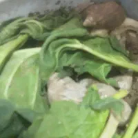 حلزون|خزنده|آران و بیدگل, |دیوار