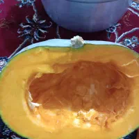 سلام 500کیلو کدو حلوایی خیلی عالی فقط یکجایی|خوردنی و آشامیدنی|قره چای, |دیوار