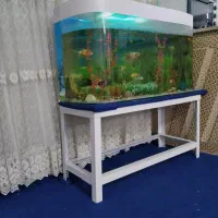 آکواریوم شیشه خم