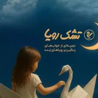 نمایندگی پخش تشک رویا