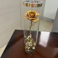 گل رز طلایی