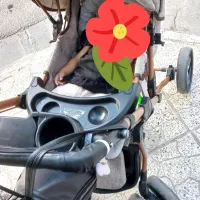 کالسکه بنیتا نو