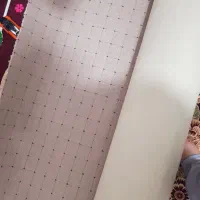 موکت پالاز