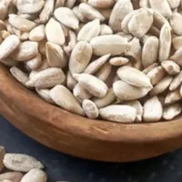 نمایندگی مغز تخمه آفتابگردان|خوردنی و آشامیدنی|شیراز, حجت آباد|دیوار