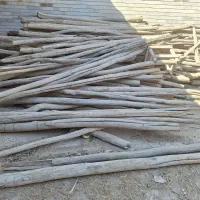 چوپ|مصالح و تجهیزات ساختمان|شادگان, |دیوار