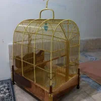 قفس سیره برنجی کار دست دهندار|لوازم جانبی حیوانات|بروجرد, |دیوار